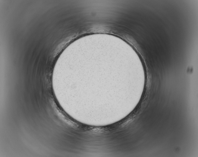 X0000110960441200907311110
