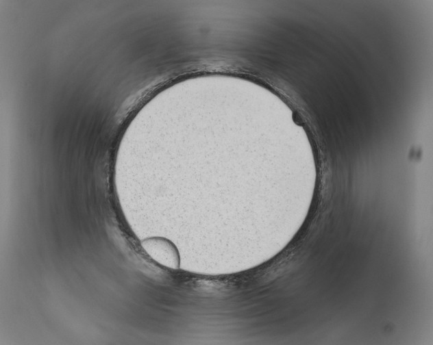 X0000110960442200907311110