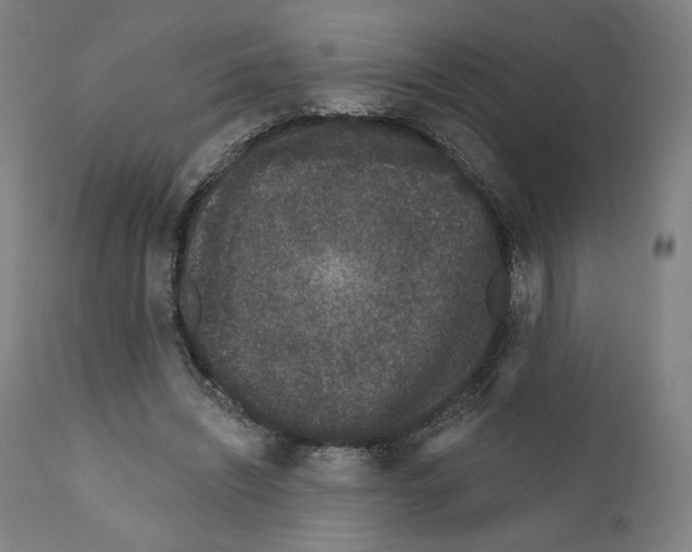 X0000110960444200907311110