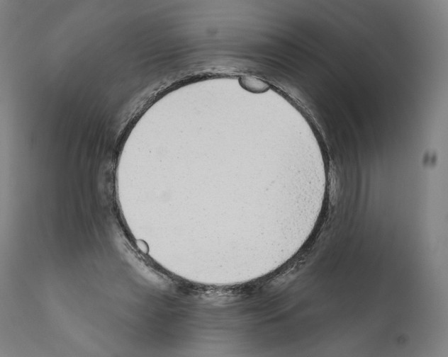 X0000110960445200907311110