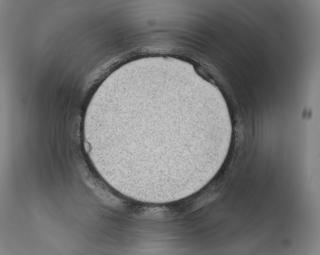 X0000110960446200907311110