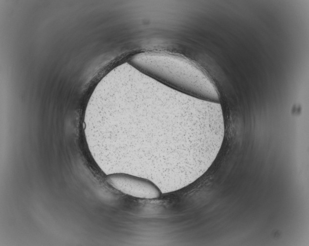 X0000110960448200907311110