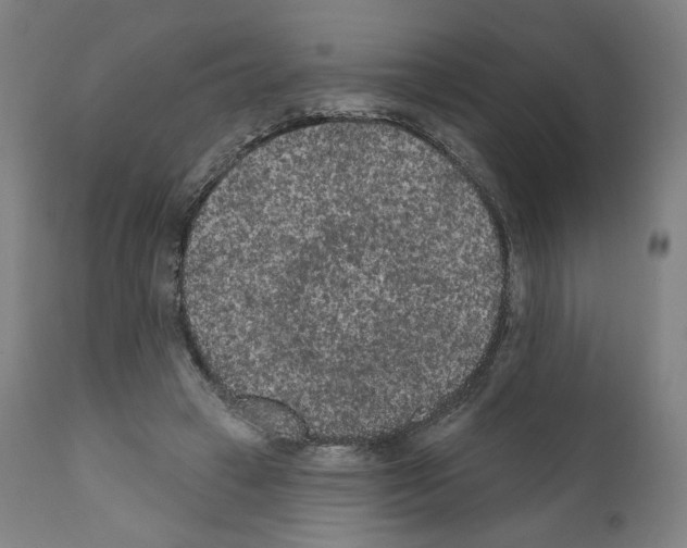 X0000110960449200907311110