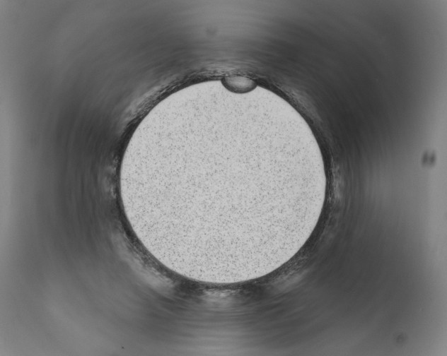 X0000110960450200907311110