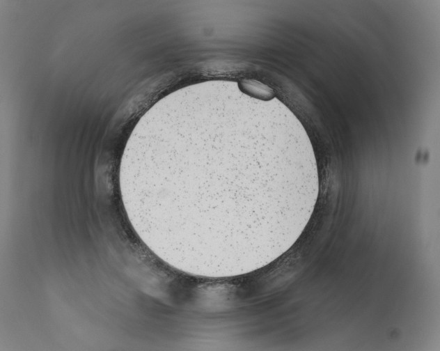 X0000110960452200907311110