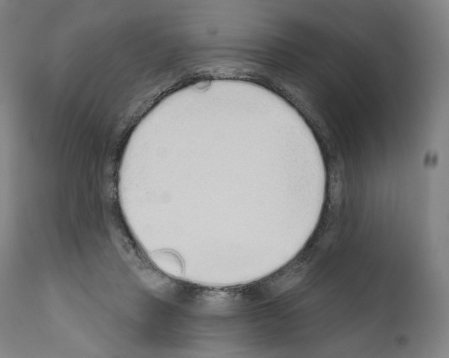 X0000110960453200907311110