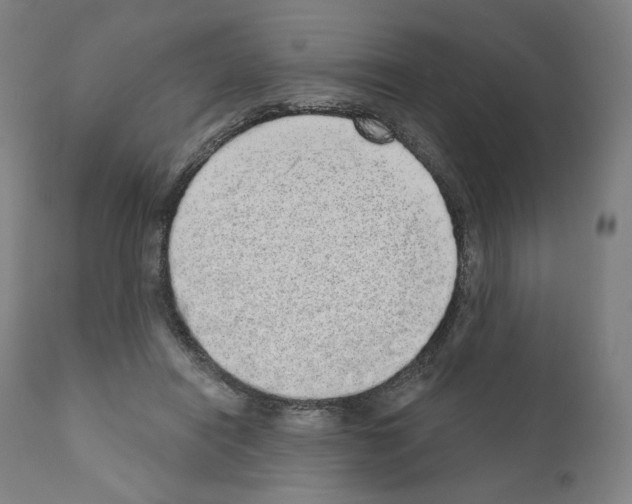 X0000110960454200907311110