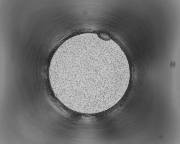 X0000110960455200907311110
