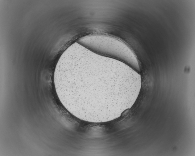 X0000110960456200907311110