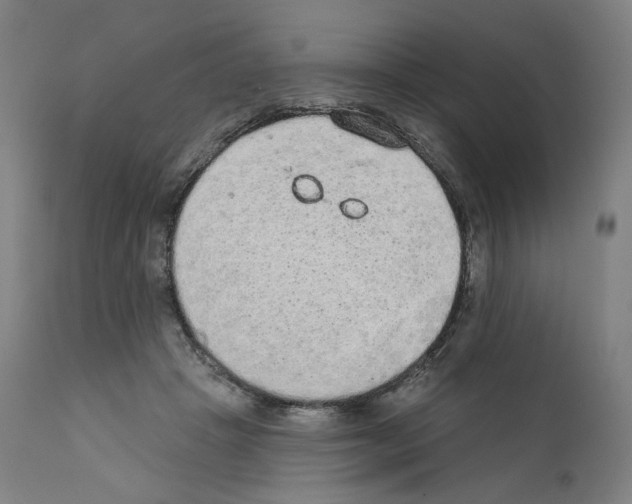 X0000110960457200907311110