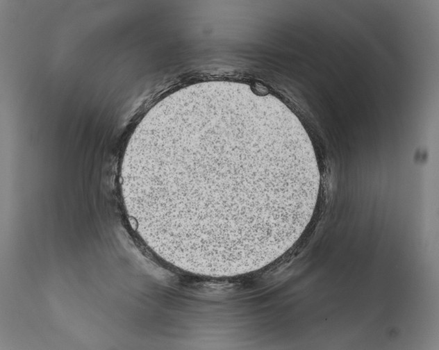 X0000110960458200907311110