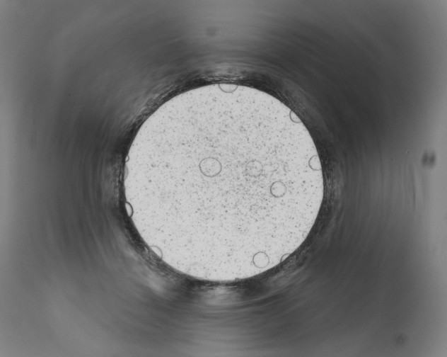 X0000110960460200907311110