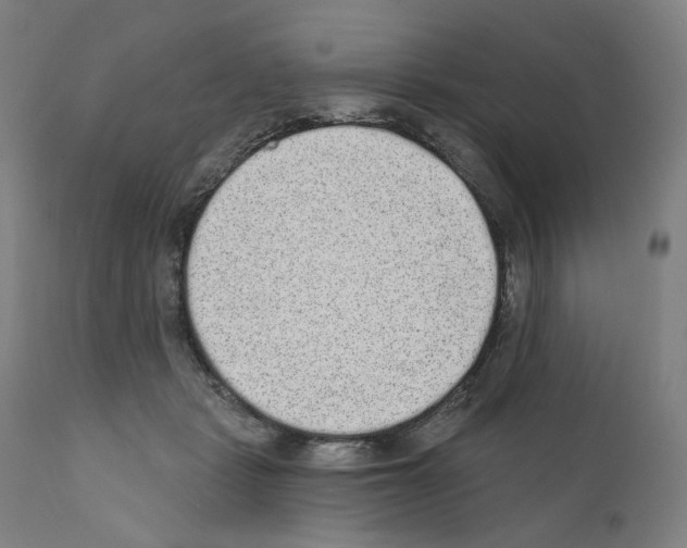 X0000110960461200907311110