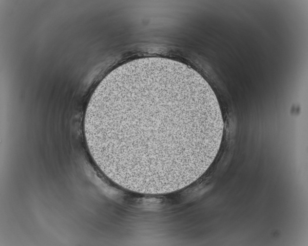 X0000110960462200907311110