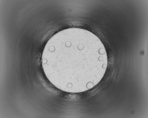 X0000110960464200907311110