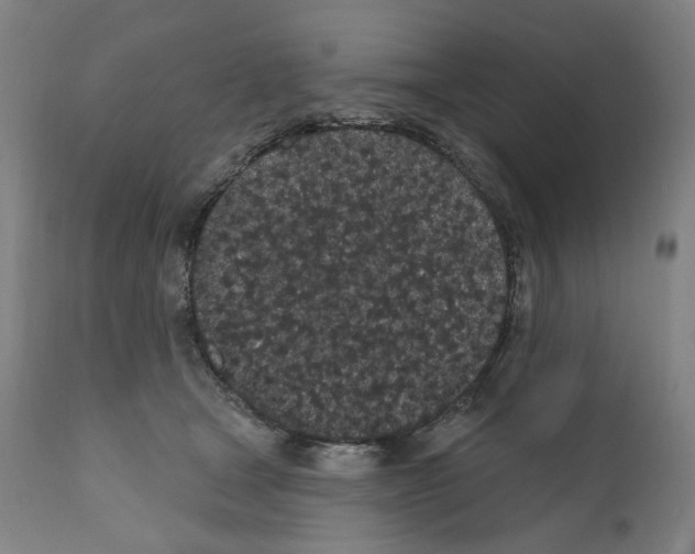 X0000110960465200907311110