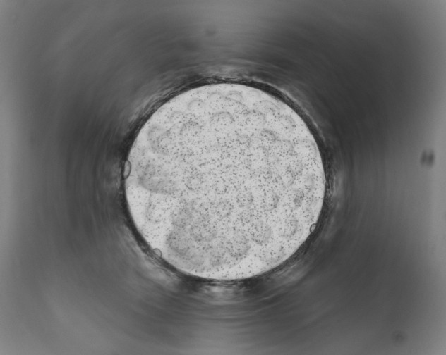 X0000110960466200907311110