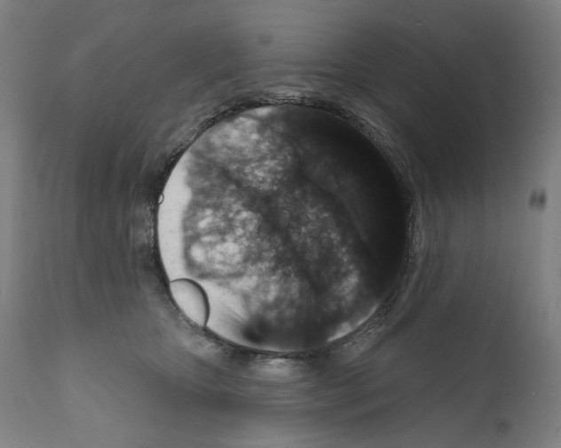 X0000110960467200907311110