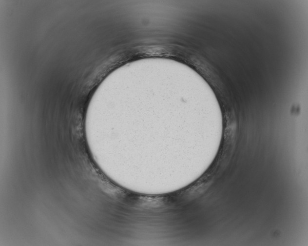 X0000110960469200907311110