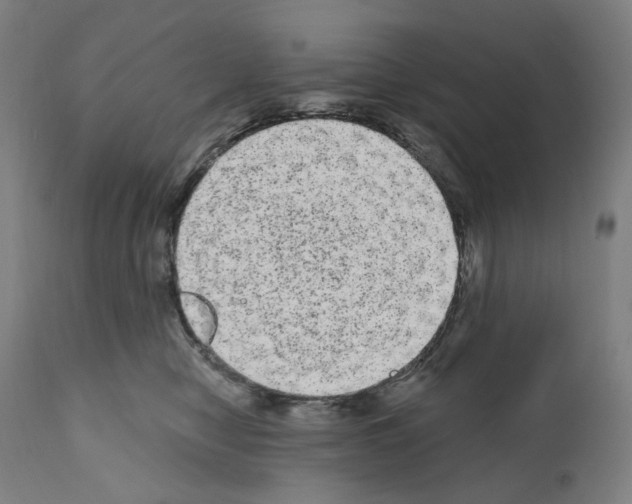 X0000110960470200907311110