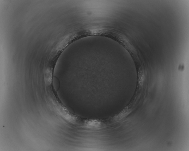 X0000110960471200907311110
