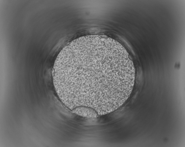 X0000110960473200907311110