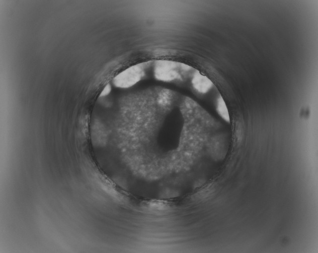 X0000110960475200907311110