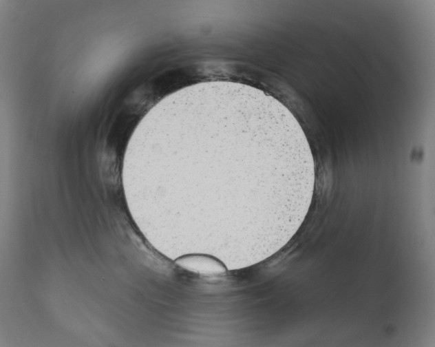X0000110960477200907311110