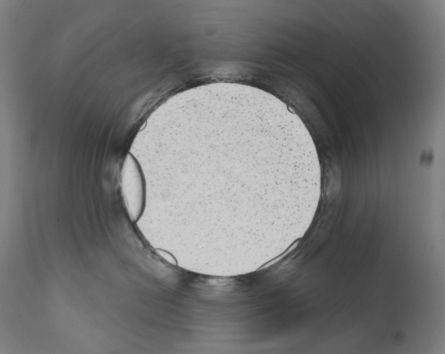 X0000110960478200907311110