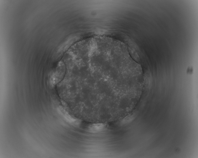 X0000110960479200907311110