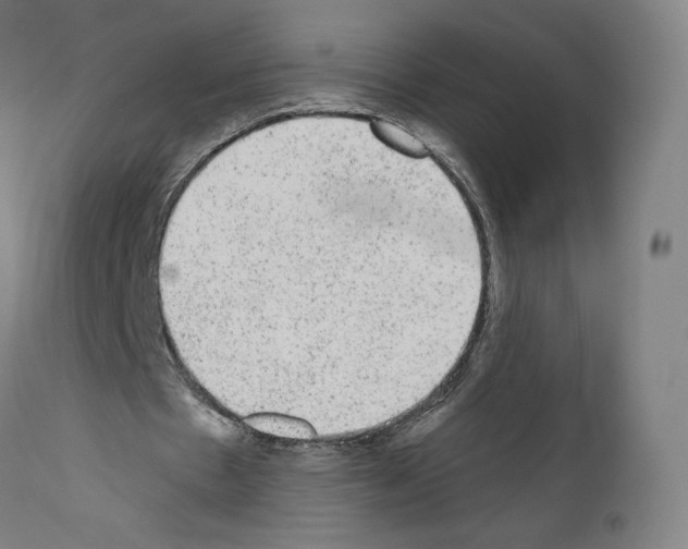 X0000110960481200907311110