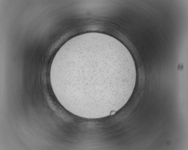 X0000110960482200907311110