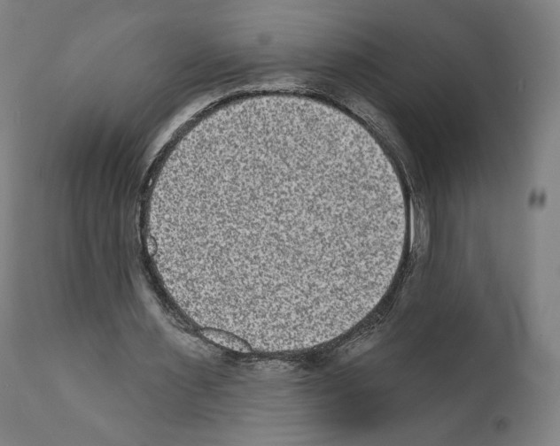 X0000110960483200907311110