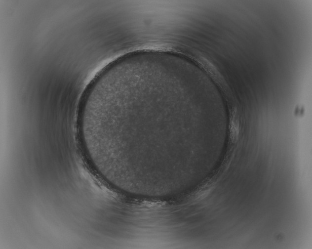 X0000110960484200907311110