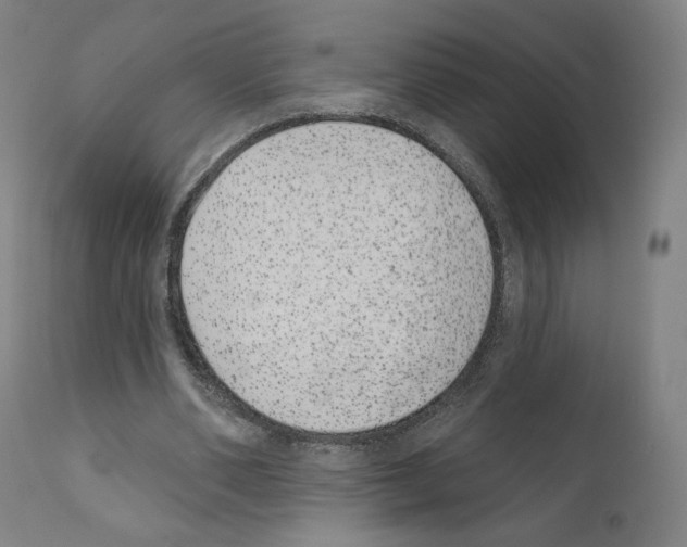 X0000110960486200907311110