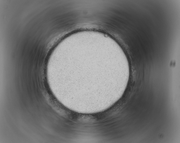 X0000110960487200907311110