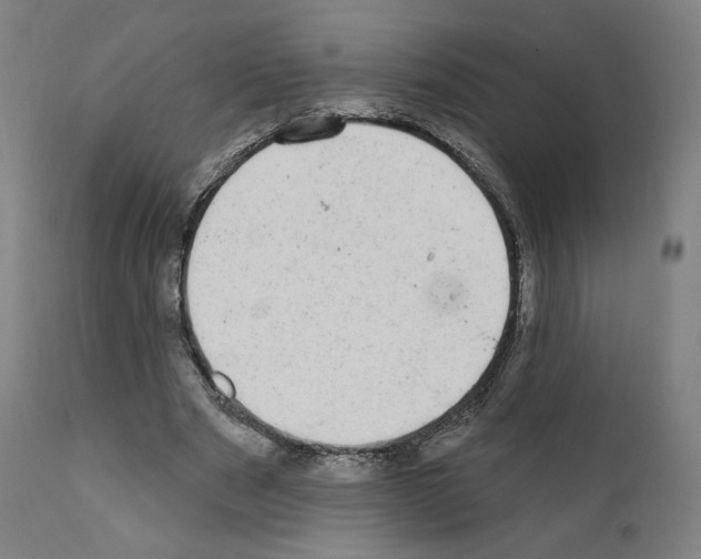 X0000110960489200907311110