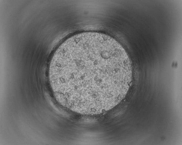 X0000110960491200907311110