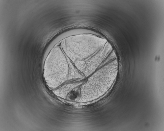 X0000110960493200907311110