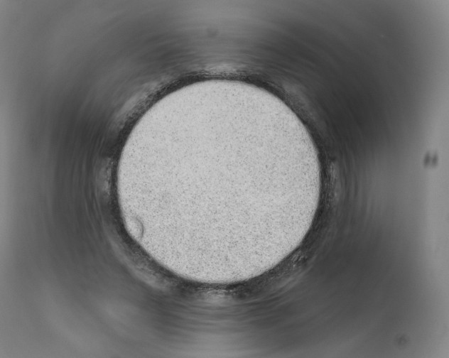 X0000110960495200907311110