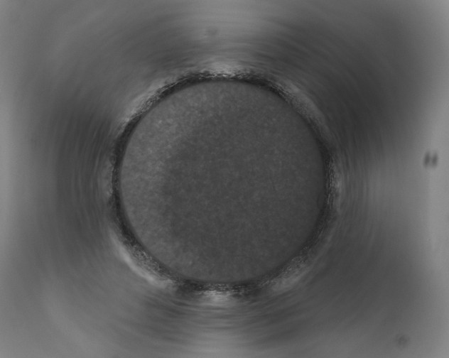 X0000110960496200907311110