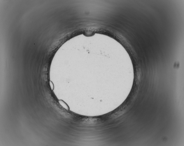 X0000110960497200907311110