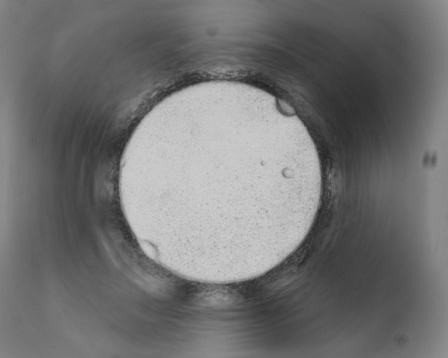 X0000110960499200907311110