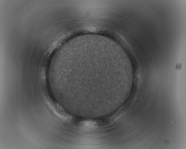 X0000110960500200907311110