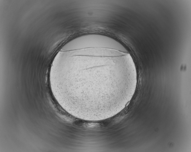 X0000110960501200907311110