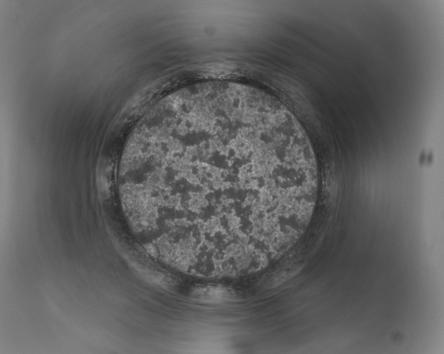 X0000110960503200907311109