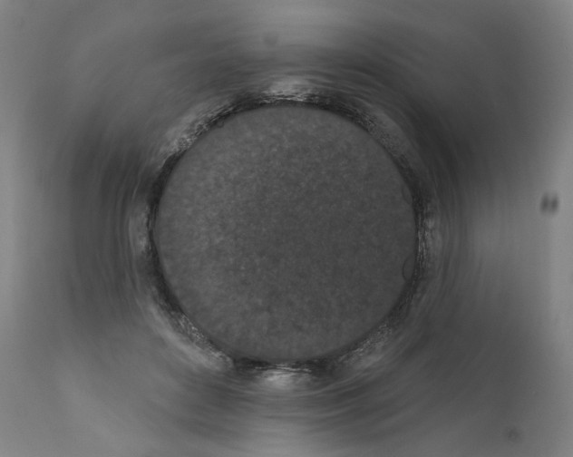 X0000110960504200907311109