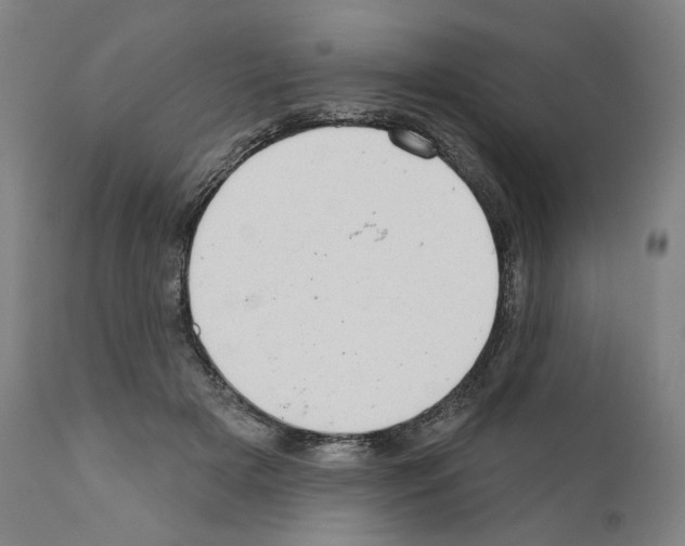 X0000110960505200907311109