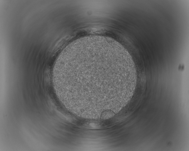 X0000110960506200907311109