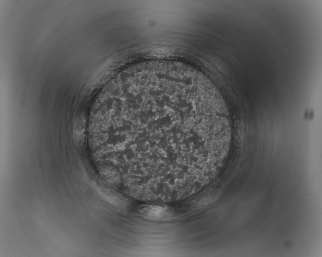 X0000110960507200907311109